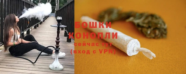 тгк Горно-Алтайск