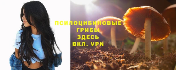 MDMA Premium VHQ Горнозаводск