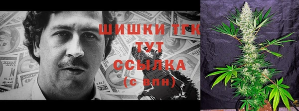 скорость Горняк
