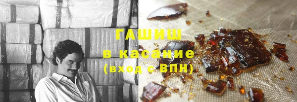 индика Вяземский